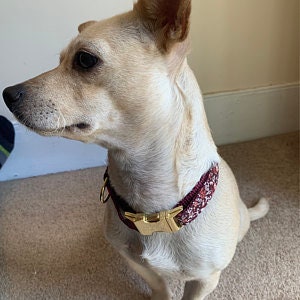 Burgundy Fall Buckle Martingale Dog Collar, Girl, Puppy, Greyhound, Whippet, Custom, Engraved, Designer Dog, Personalized, Maroon, Gold