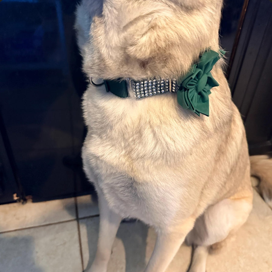 Pink, Dog Collar Flower, Blue, Green, Lilac, Purple, Girl, collar Accessories, Girly Dog Bow, Puppy Bowtie, Dog Collar Flower, Dog Bowtie