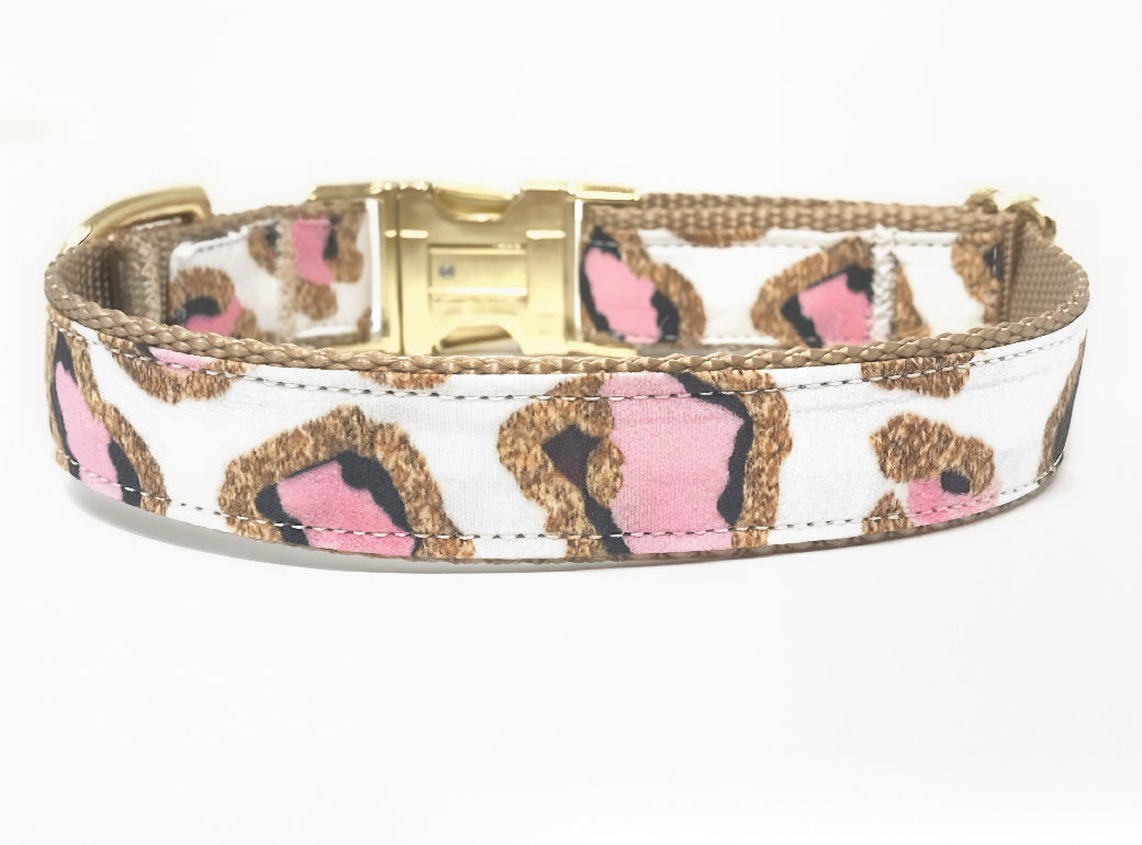 Girl Dog Collar, Leopard, Cheetah, Custom Dog Collar, Puppy Collar, Small Dog Collar, Engraved Dog Collar, Designer Dog Collar, Cute, Large