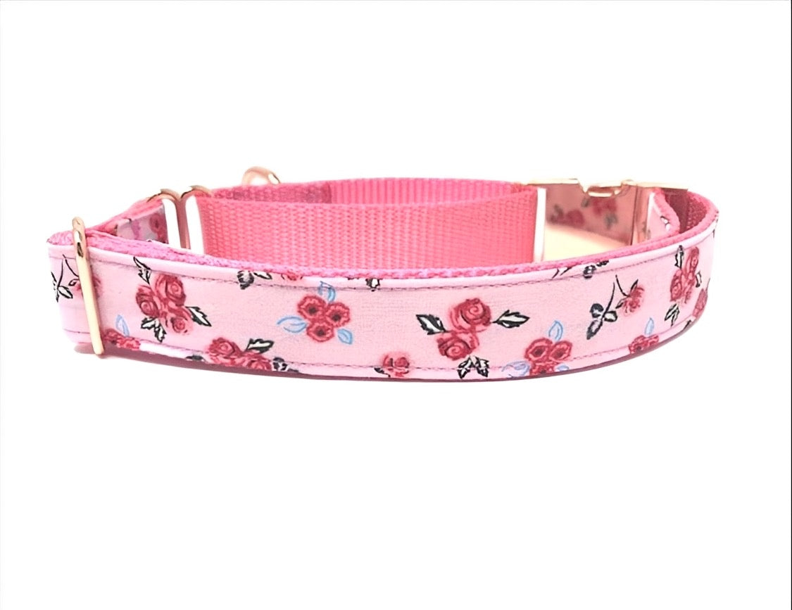 Martingale Dog Collar, With Buckle, Girls, Female, Pink, Black, Rose Gold, Teal, Green, Blue, Personalized, Engraved, Red, Black