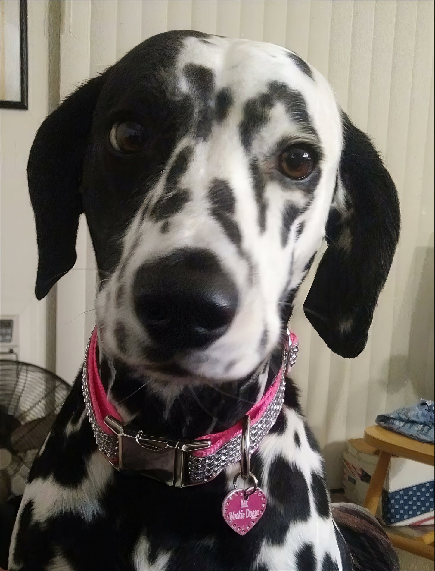 Rhinestone, Raspberry, Rose, Rhinestone, Dog Collar, Bling, Sparkle, Bedazzled, Girl Dog, Wedding Collar, Personalize, Engrave, Custom