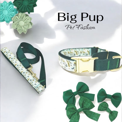 Dog Collar, Martingale Collar, Buckle, Girl, Female, Personalized, Engraved, Custom, Puppy Collar, Green, Puppy Collar, Cute, Small, Large