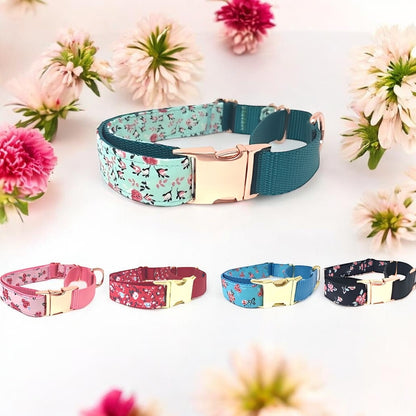 Martingale Dog Collar, With Buckle, Girls, Female, Pink, Black, Rose Gold, Teal, Green, Blue, Personalized, Engraved, Red, Black