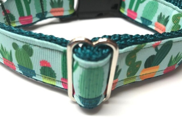 All Sizes: Cactus And Succulents Green Dog Collar in size Medium, Large, Extra Large