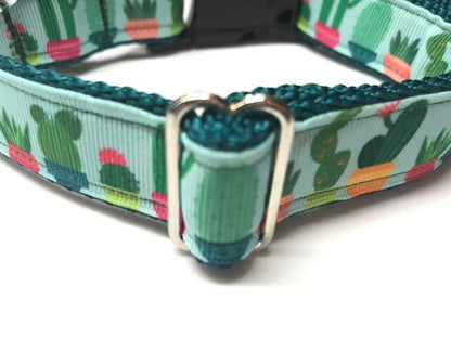 All Sizes: Cactus And Succulents Green Dog Collar in size Medium, Large, Extra Large