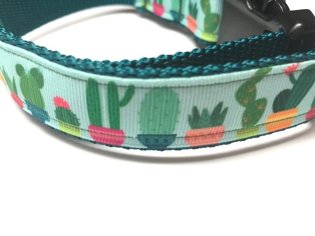 All Sizes: Cactus And Succulents Green Dog Collar in size Medium, Large, Extra Large