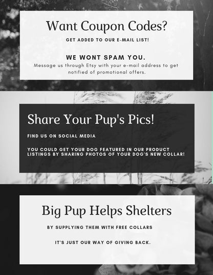 Purple Floral Dog Leash, Pink Flower Dog Leash, Dog Leash For Girls, Dog Lead, 5 Foot Leash, Pretty Dog Leash, Dog Gift, Dog Accessories