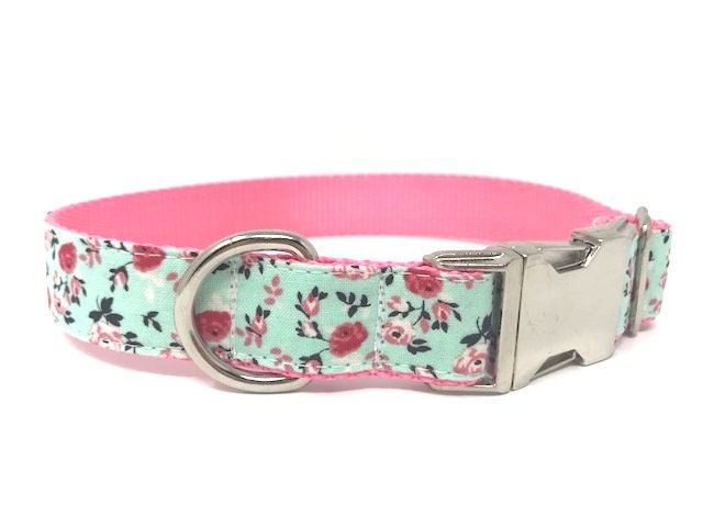 Fancy, Trendy, Pink + Teal Floral Dog Collar For Girls, Pink + Aqua Dog Collar W/ink Roses , Personalized Dog Collar, Customized, Engraved