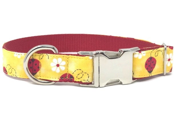 Cute Red And Yellow Ladybug And Floral Dog Collar For Girls Or Boys, Animal Print, Summer, Personalized, Laser Engraved, Customized