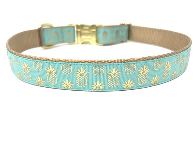 Pineapple, Dog Collar, Girl, Boy, Personalized, Engraved, Custom, Designer, Green, Cute, Puppy, Pink, Teal, Fruit, Summer, Small, Large