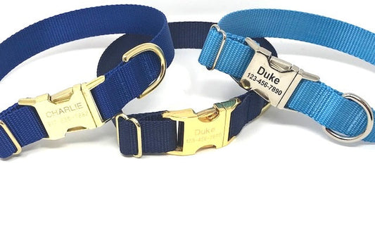 Personalized Dog Collars, Blue, Puppy Collar, Boy, Males, Laser Engraved, Custom, Silver, Gold, Dog ID Tag, Small, Designer, Cute, Nylon