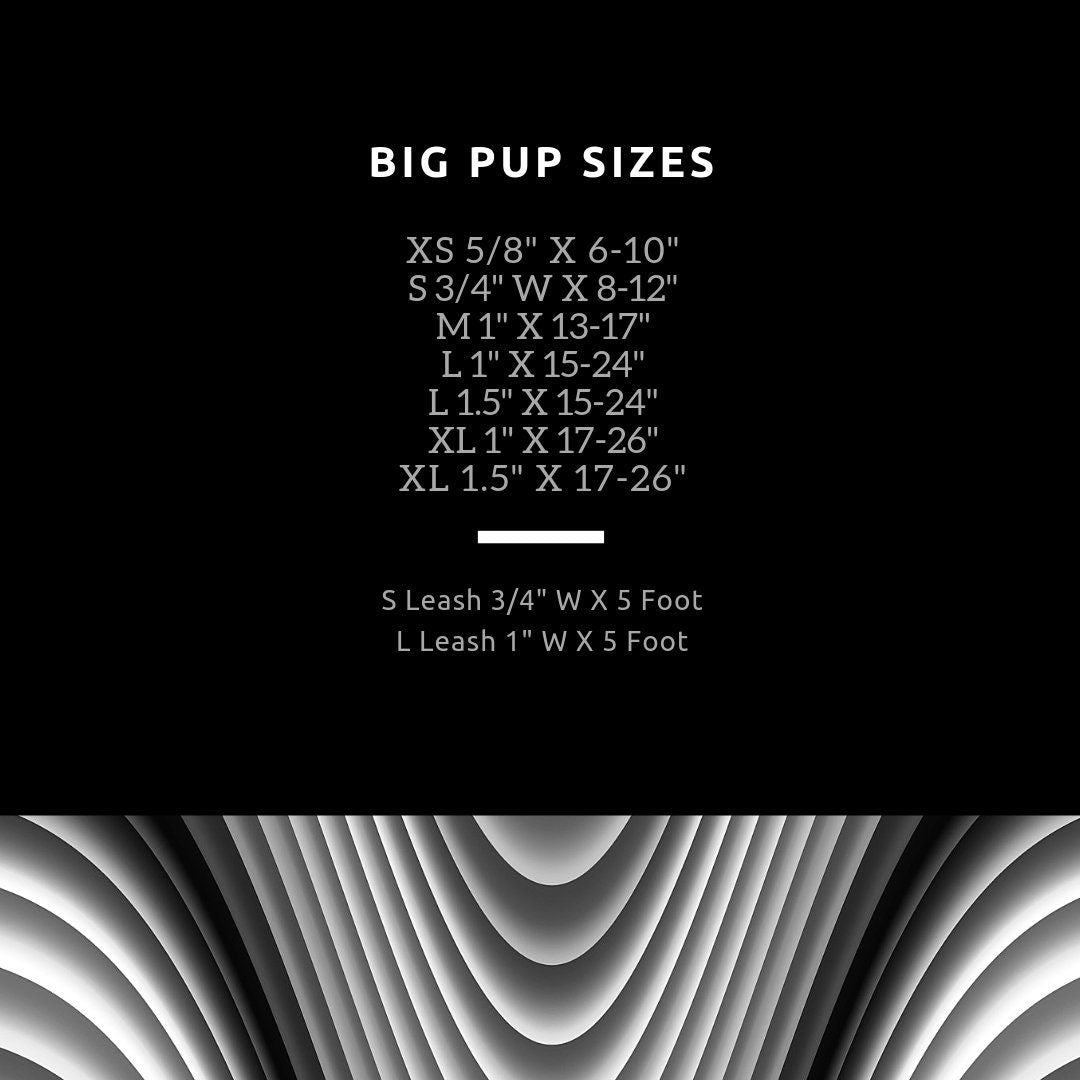 Cute Red And Yellow Ladybug And Floral Dog Collar For Girls Or Boys, Animal Print, Summer, Personalized, Laser Engraved, Customized