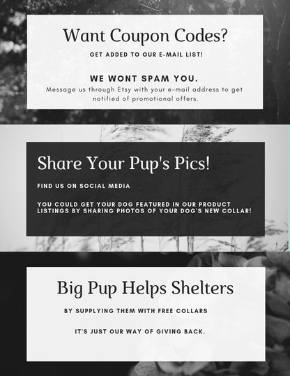 Rose Gold And Black Rose Floral Dog Collar For Girls, Rose Gold Hardware, Rose Flower Collar, Female, Personalized, Engraved, Customized