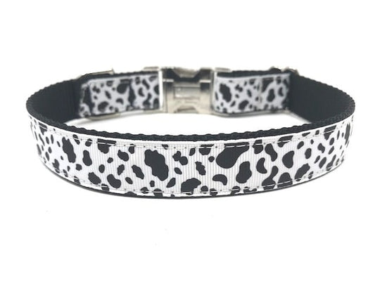 Cow Print Dog Collar, Black, White, Girls, Boys, Male, Female, Animal Print, Silver, Metal Hardware, Buckle, Personalized, Engrave, Custom