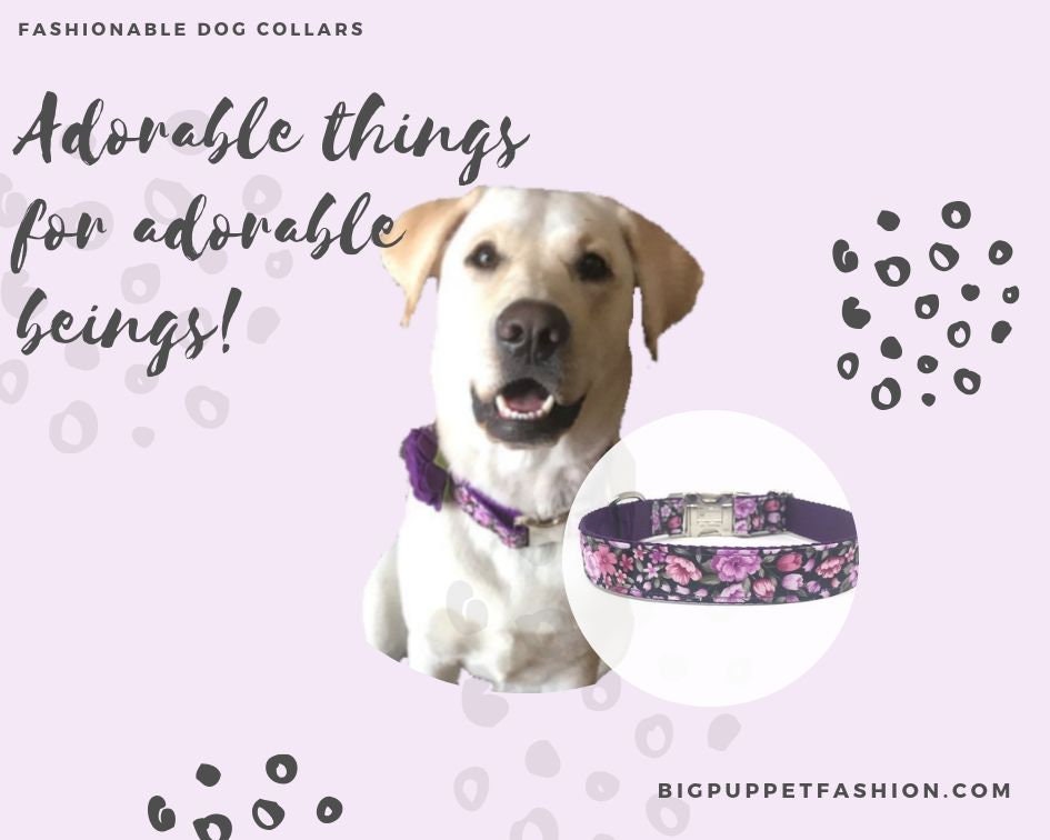 Purple Dog Collar, Floral Dog Collar, Pink Dog Collar, Flowers, Dog Collar For Girls, Martingale Dog Collar, Custom, Personalized, Engraved