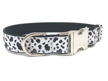 Cow Print Dog Collar, Black, White, Girls, Boys, Male, Female, Animal Print, Silver, Metal Hardware, Buckle, Personalized, Engrave, Custom