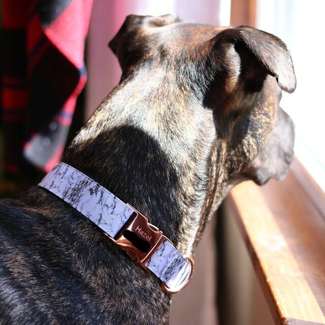 Dog Collar, Boy, Black +White, Marble, Cat Collar, Personalized Dog Collar, Engraved Dog Collar, Custom Collar, Puppy Collar, Small, Large
