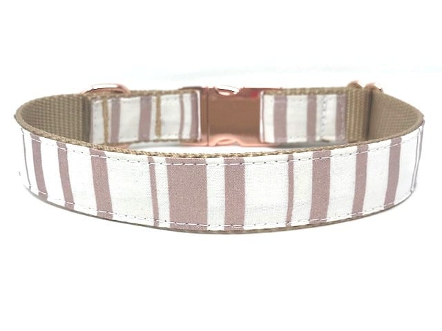Personalized, Dog Collar, Girls, Boys, Stripe, Rose Gold, Gold, Teal, Aqua, Engraved, Striped, Trendy, Metal Hardware, Female, Male, Trendy