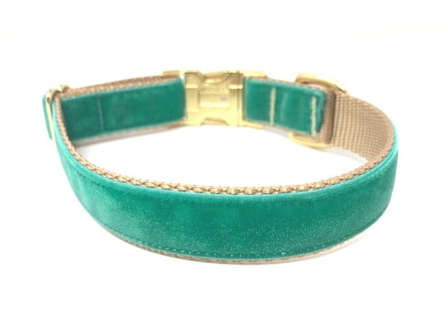 Teal, Gold, Velvet, Dog Collar, Girls, Boys, Male, Female, Aqua Collar, Personalized, Engraved, Green, Medium, Large, Extra Large, Dogs