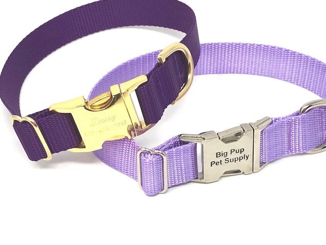Personalized Dog Collars, Blue, Puppy Collar, Boy, Males, Laser Engraved, Custom, Silver, Gold, Dog ID Tag, Small, Designer, Cute, Nylon