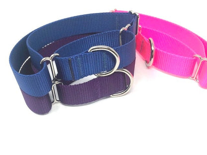 Martingale Dog Collar, Nylon, Girls, Boys, Blue, Pink, Purple, Gold, Grey, + Colors, Silver, Gold, Rose Gold, Metal Hardware, Heavy Duty