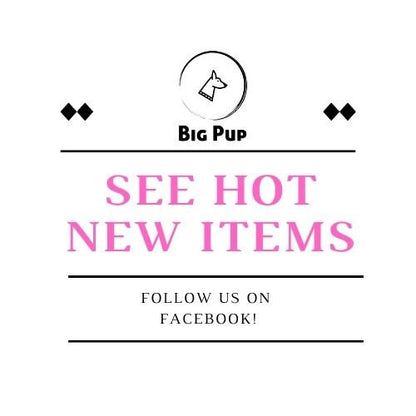 Burgundy, Red, Maroon, Brown, Tan, Gold, Floral Dog Collar, Martingale With Gold Metal Buckle, For Girls, Female, Personalized, Choker