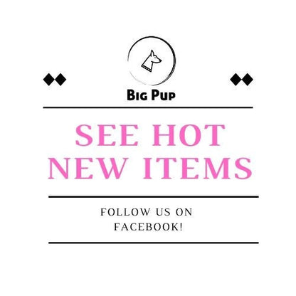 Martingale, Dog Collar, With Buckle, For Boys, Navy Blue, Gold, Stripe, Male, Personalized, Engraved, Small, Medium, Large, Extra Large