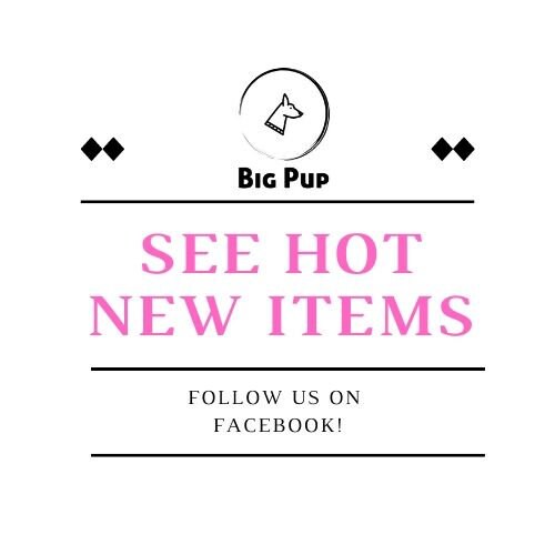 Dog Collar, For Boys, Girls, Teal, Black, White, Plaid, Blue, Male, Female, Personalized, Engraved, Small, Medium, Large, Extra Large