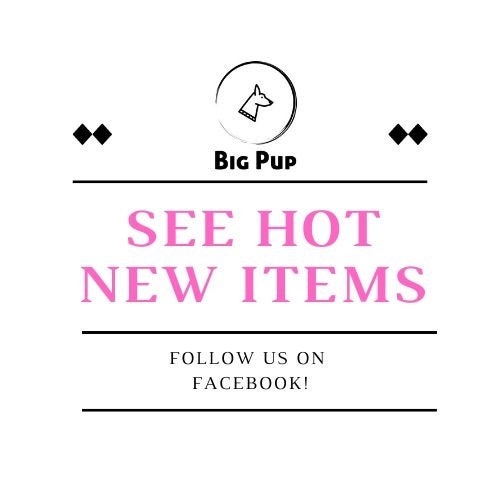 Wide Pink + Blue Floral Dog Collar, Roses, Flower, Girls, Females, Summer, Personalized, Custom, Engraved, Pretty, Flowers, Navy Blue, Metal