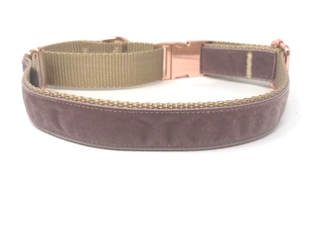 Fall, Mauve, Rose Gold, Custom, Buckle Martingale Dog Collar, Girl, Personalize, Engraved, Cute, Designer, Puppy, Greyhound, Whippet, Velvet