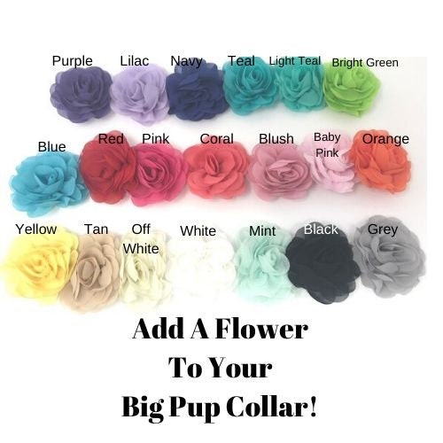 Dog Collar Flower, 20 Colors To Choose From, Ready To Use, Just Slide On Your Pet Collar! 3" size