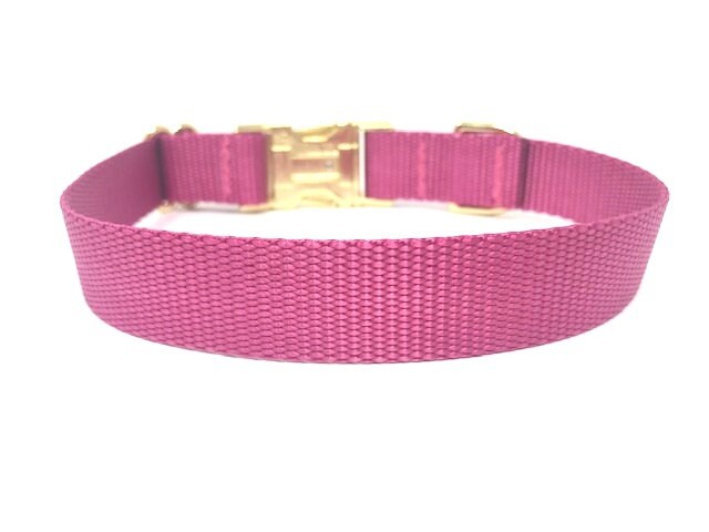 Dog Collar Girl, Pink, Raspberry, Gold Nylon Girl Dog Collar, Female, Personalized Dog Collar, Engraved Dog Collar, Custom, Puppy, Cat Colla