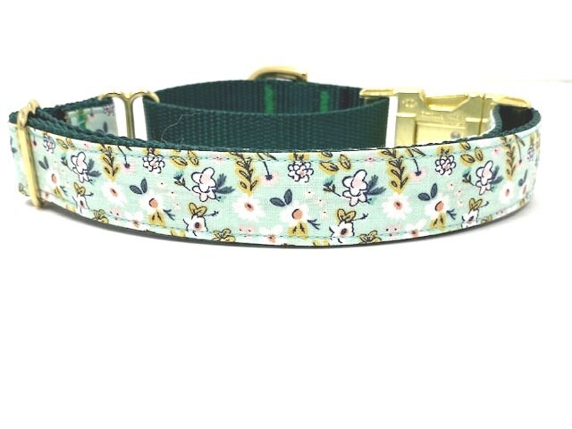 Dog Collar, Martingale Collar, Buckle, Girl, Female, Personalized, Engraved, Custom, Puppy Collar, Green, Puppy Collar, Cute, Small, Large