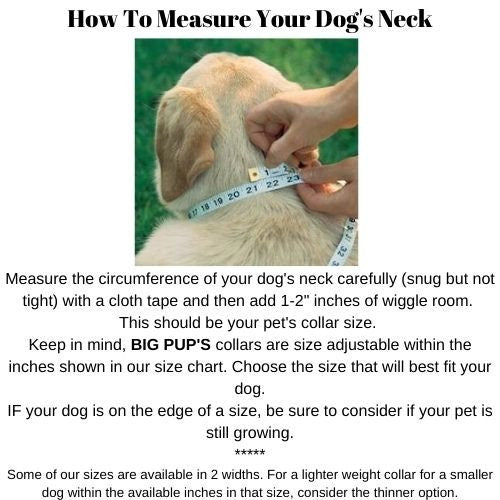 Dog Collar, For Boys, Girls, Teal, Black, White, Plaid, Blue, Male, Female, Personalized, Engraved, Small, Medium, Large, Extra Large