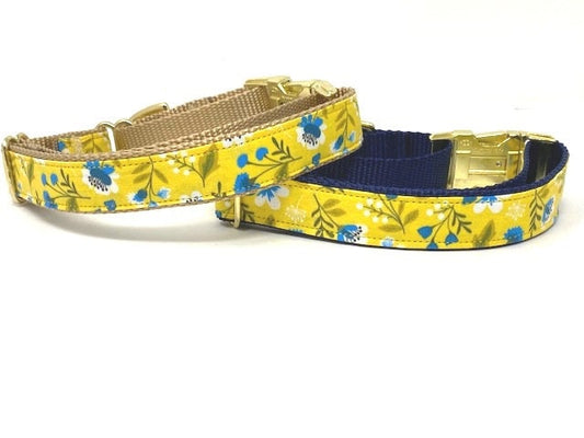 Martingale With Metal Buckle, For Girls, Yellow, Green, White, Gold, Navy Blue, Female, Personalized, Engraved, Choker Collar, Greyhound