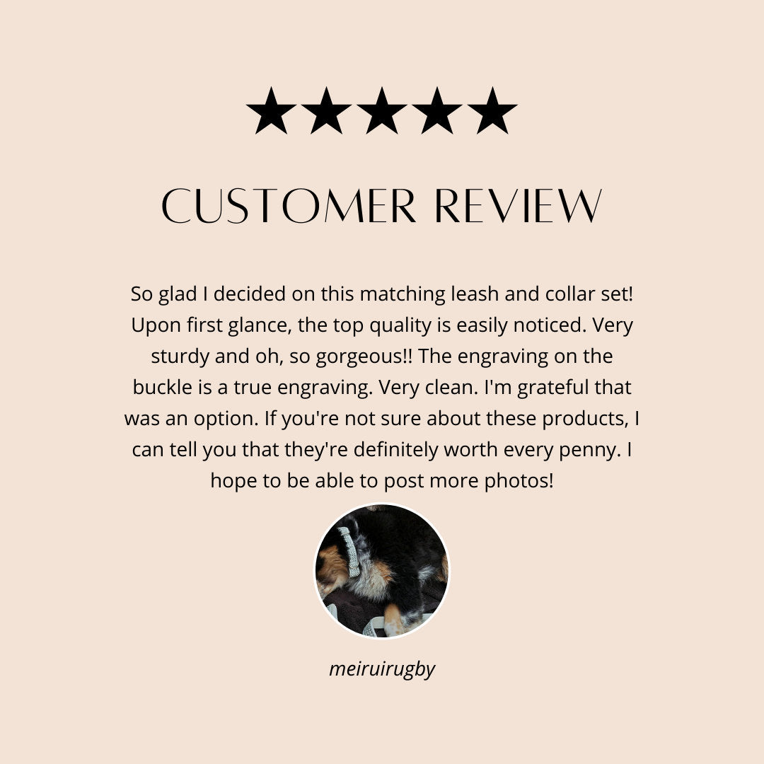 Christmas Red Dog Collar, Fancy, Rhinestone, Bling, Sparkly, Glitter, Female, Girl, Male, Boy, Personalized, Custom, Engraved, Holiday, Cat