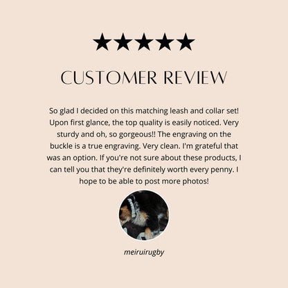 Christmas Red Dog Collar, Fancy, Rhinestone, Bling, Sparkly, Glitter, Female, Girl, Male, Boy, Personalized, Custom, Engraved, Holiday, Cat