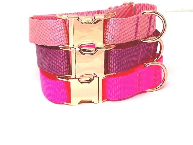 Pink, Personalized, Martingale Dog Collar, Buckle, Rose Gold, Puppy Collar, Cute Dog Collar, Designer Dog Collar, Custom, Greyhound, Engrave