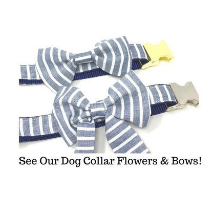 Dog Collar, Blue, Stripe, Preppy, Boy, Nautical, Personalized, Engraved, Custom, Cat, Pet Collar, Puppy Collar, Designer Dog Collar, Cute