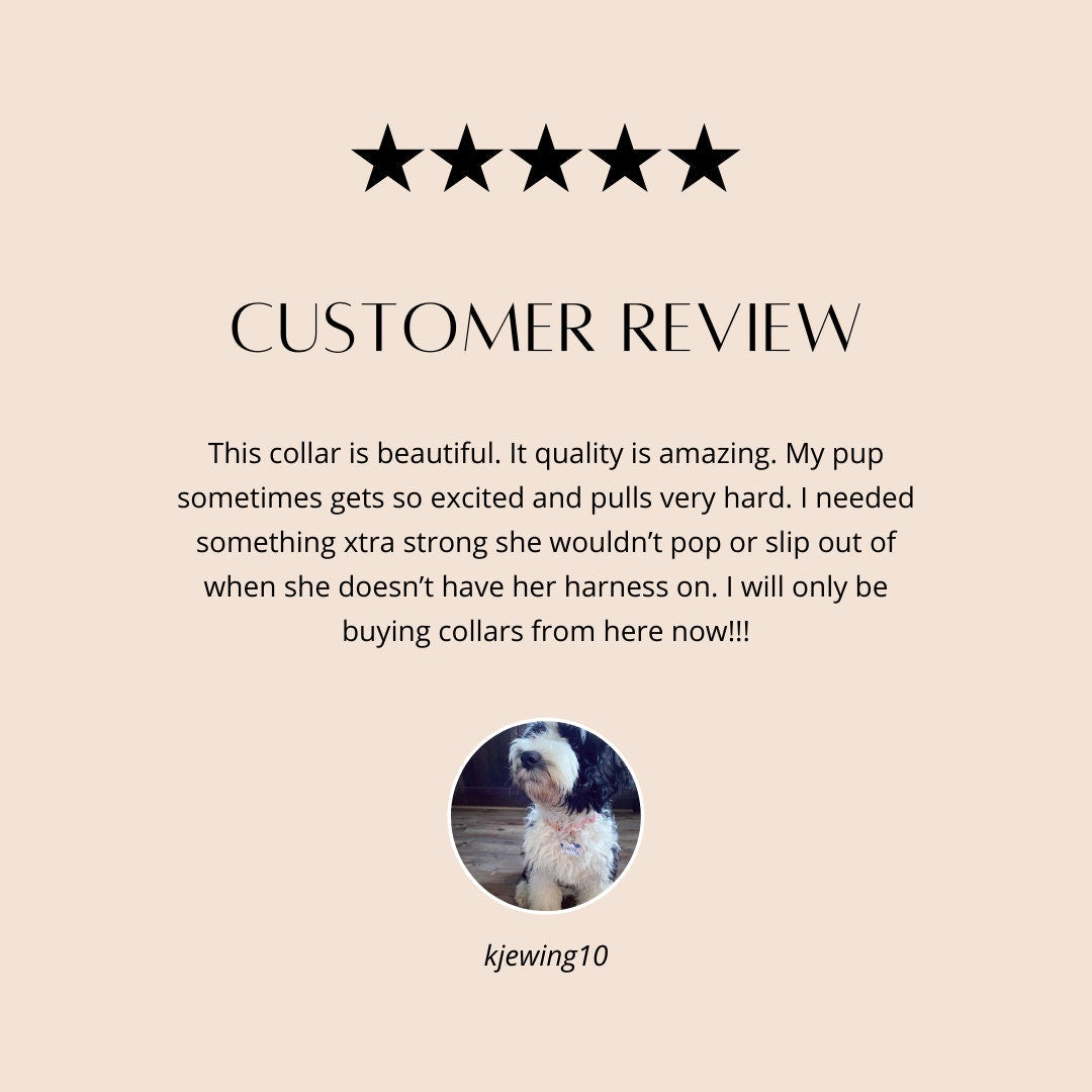 Pink Marble, Raspberry Nylon, Gold Hardware And Buckle, Dog Colla,r For Girls, Personalized, Customized, Engraved, Medium, Large, XL