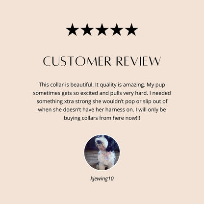 Pink Marble, Raspberry Nylon, Gold Hardware And Buckle, Dog Colla,r For Girls, Personalized, Customized, Engraved, Medium, Large, XL