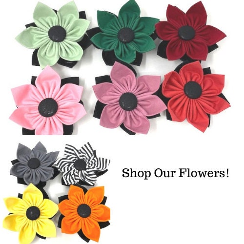 1.5" Wide, Black, Martingale Collar, W Buckle, Dog Collar Girl, Boy, Personalized, Engraved Dog Collar, Custom Dog Collar, Puppy