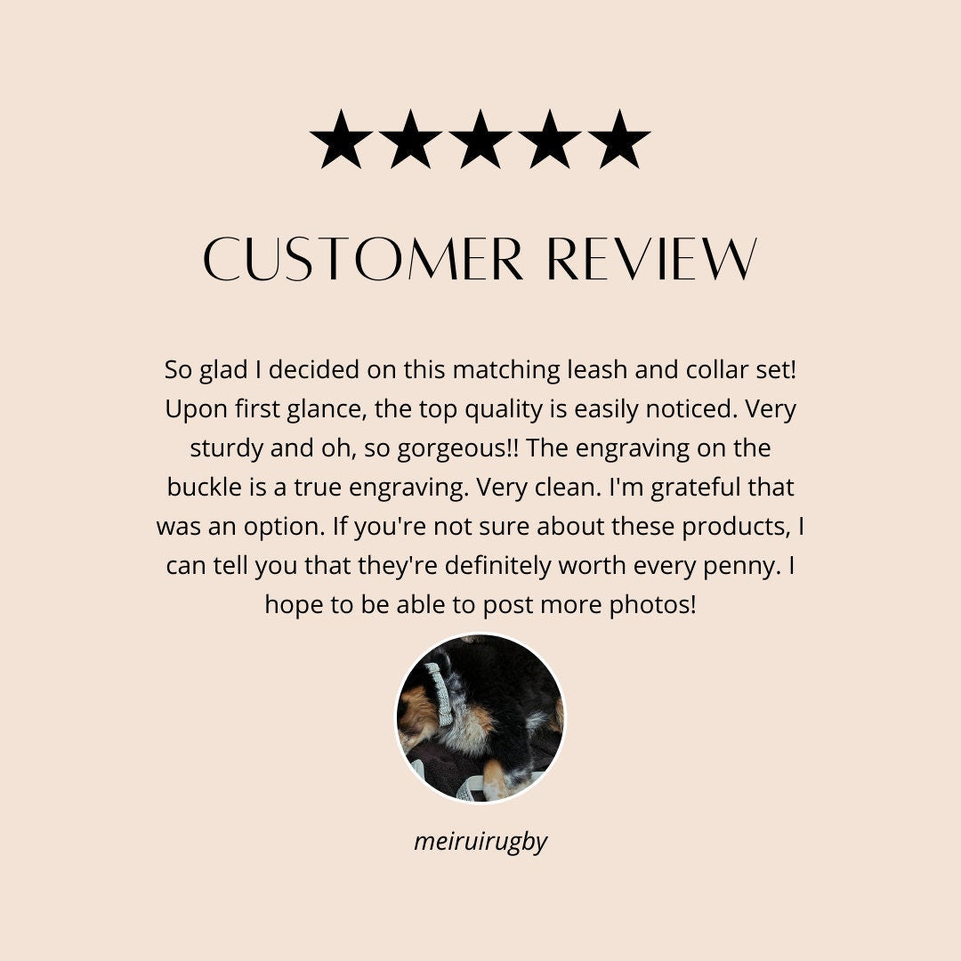 Rhinestone, Glitter, Fancy Dog Collar, Blingy Sparkly Pet Collar, Hot Pink, Purple, Lavender, Collar, Personalized, Engrave, Girls, Female