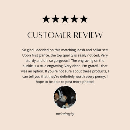 Rhinestone, Glitter, Fancy Dog Collar, Blingy Sparkly Pet Collar, Hot Pink, Purple, Lavender, Collar, Personalized, Engrave, Girls, Female