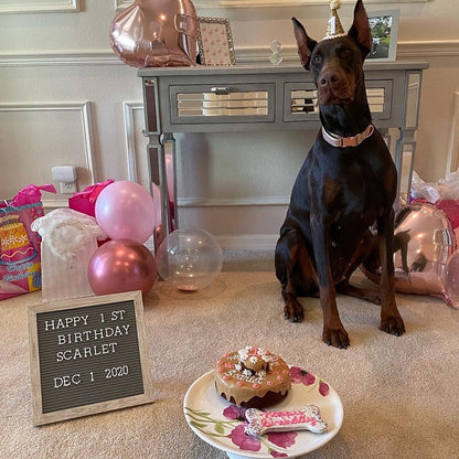 Fancy Rose Gold Rhinestone Designer Girl Dog Collar, Sparkle, Personalize, Bling, Small, Puppy, Large, Custom, Engraved, Wedding, Diamond