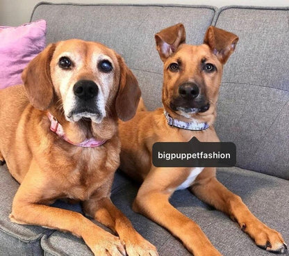 Rose Gold, Dog Collar, Pink, Rose Gold, Marble, Dog Collar Girl, Personalized, Custom Dog Collar, Engraved, Cat Collar, Puppy Collar, Small