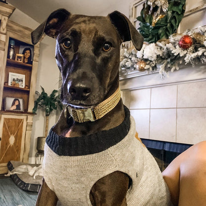 Fancy, Gold, Glitter, Rhinestone, Sparkle Dog Collar, Bling, Bedazzled, Personalize Dog Collar, Custom, Engrave, Girls, Female, Cat, Diamond