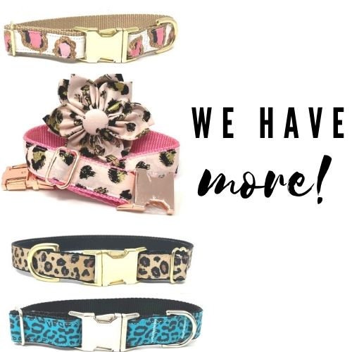 Girl Dog Collar, Leopard, Cheetah, Custom Dog Collar, Puppy Collar, Small Dog Collar, Engraved Dog Collar, Designer Dog Collar, Cute, Large