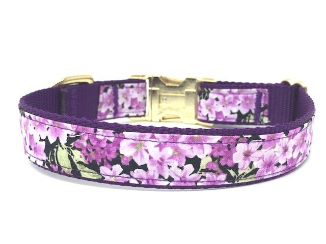 Floral, Dog Collar, For Girls, Purple, Gold, Blush, Female, Fashion, Personalized, Engraved, Cat Collar, Fancy, Custom Dog Collar, Pet, Cute