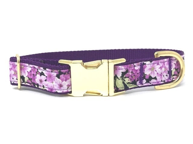 Floral, Dog Collar, For Girls, Purple, Gold, Blush, Female, Fashion, Personalized, Engraved, Cat Collar, Fancy, Custom Dog Collar, Pet, Cute